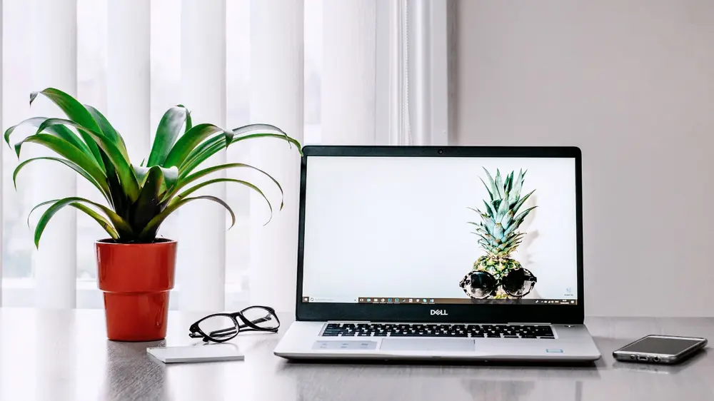 service rédaction web SEO
