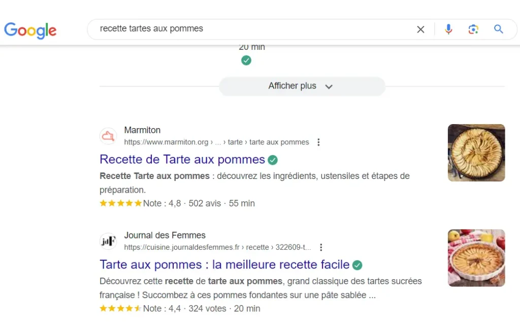 exemple page recherche meta description plante massif