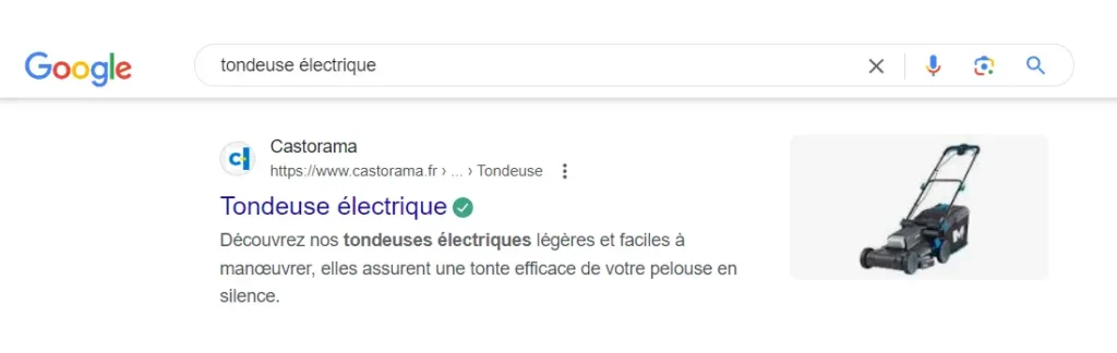 exemple page recherche Meta description plante massif