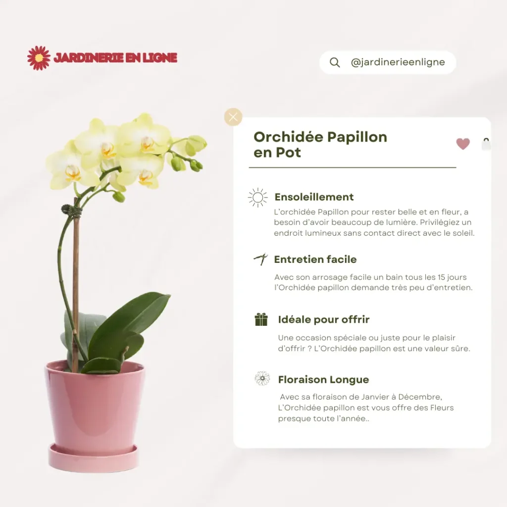 Exemple de Fiche produit optimisée pour Jardinerie sur mobile